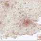 Postcode District Map 8 - South East England - Colour - Overview